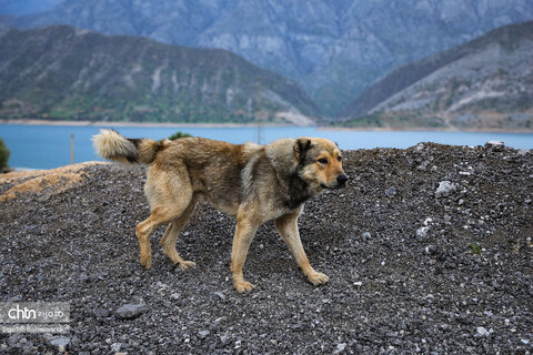 حال و هوای گردشگران نوروزی در اسکله رکعت دزپارت