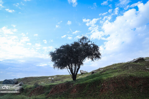 زیباییهای جاده ای خوزستان از اهواز تا دهدز