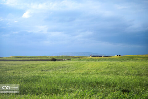 زیباییهای جاده ای خوزستان از اهواز تا دهدز