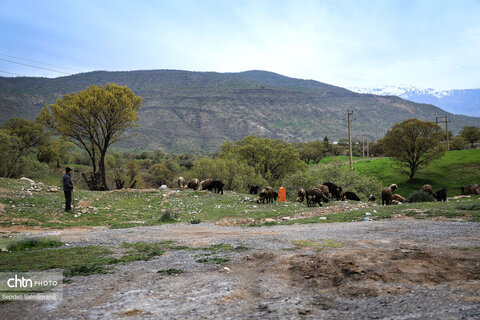 زیباییهای جاده ای خوزستان از اهواز تا دهدز