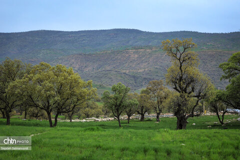 زیباییهای جاده ای خوزستان از اهواز تا دهدز