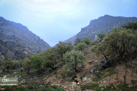 زیباییهای جاده ای خوزستان از اهواز تا دهدز