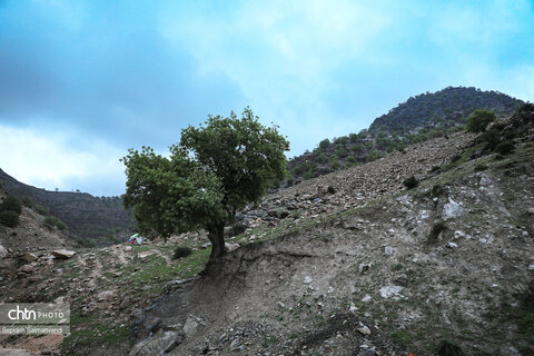 زیباییهای جاده ای خوزستان از اهواز تا دهدز