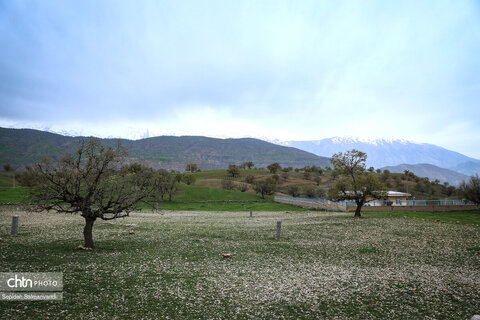 زیباییهای جاده ای خوزستان از اهواز تا دهدز