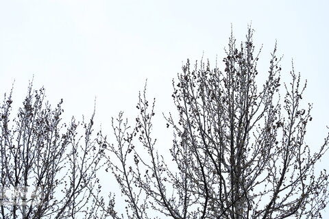 زیباییهای جاده ای خوزستان از اهواز تا دهدز