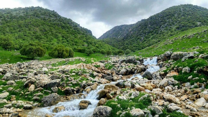 طبیعت زیبا و چشم نواز منطقه نگل روستای سفیدخانی - شهرستان سیروان