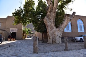 قلعه بالا؛ نگین گردشگری در حاشیه زیست‌کره توران