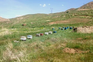 اولین مجوز فعالیت گردشگری کشاورزی در شهرستان طالقان صادر شد