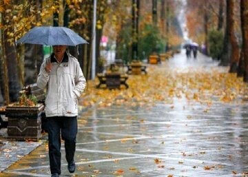 رگبار باران در برخی استان‌ها/ خلیج فارس مواج می‌شود