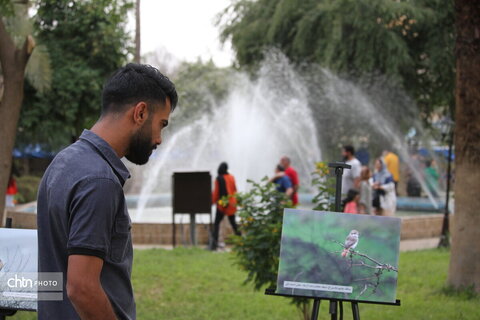 پرندهنگری در میراث جهانی شوش