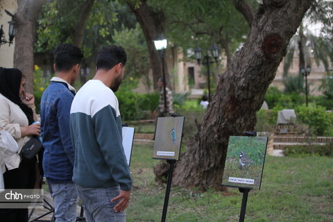 پرندهنگری در میراث جهانی شوش