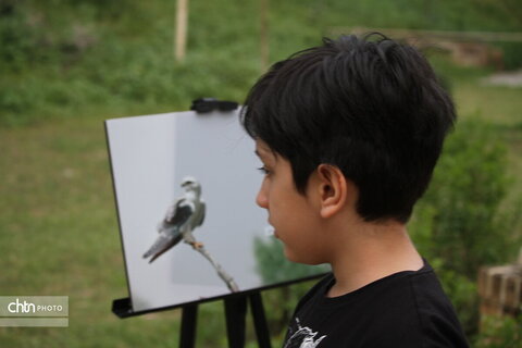 پرندهنگری در میراث جهانی شوش