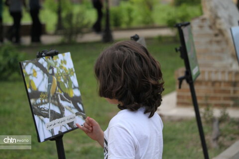 پرندهنگری در میراث جهانی شوش