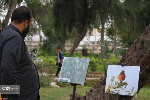 پرندهنگری در میراث جهانی شوش