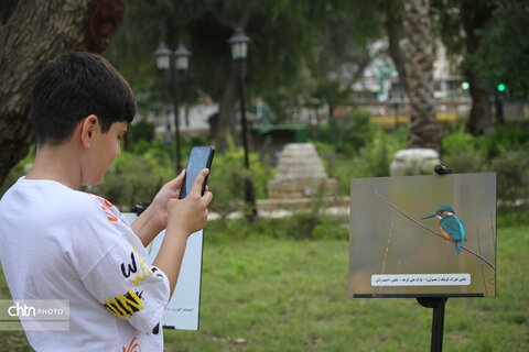 پرندهنگری در میراث جهانی شوش