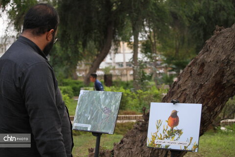 پرندهنگری در میراث جهانی شوش