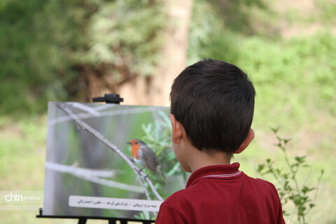 پرندهنگری در میراث جهانی شوش