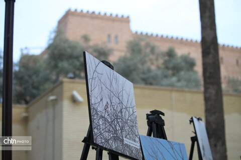 پرندهنگری در میراث جهانی شوش