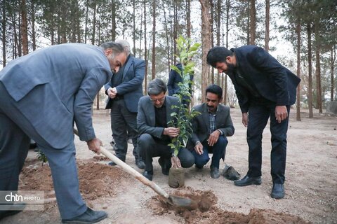 درختکاری مسئولان در روستای هدف گردشگری فهرج