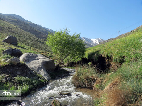 طبیعت زیبا و بهاری دامنه‌های کوه الوند