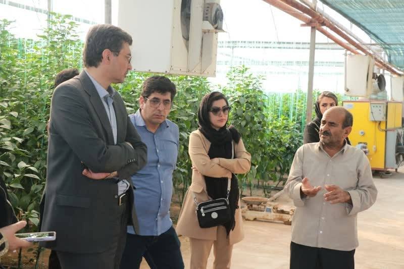 بررسی تاریخچه تأمین آب و محصولات کشاورزی در یزد در رویداد رویش سبز کویر