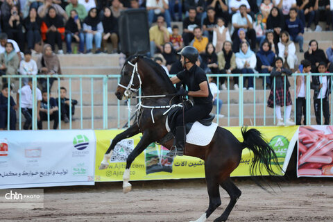 نمایش اسب اصیل ایرانی رفسنجان
