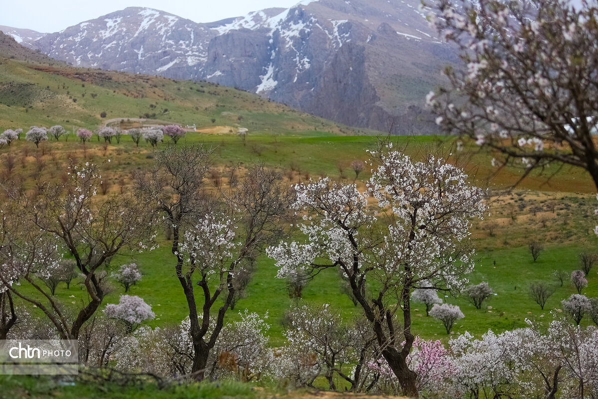 نوروزگردی در چهارمحال و بختیاری/ از جنگلهای بلوط تا هفت چشمه سینی