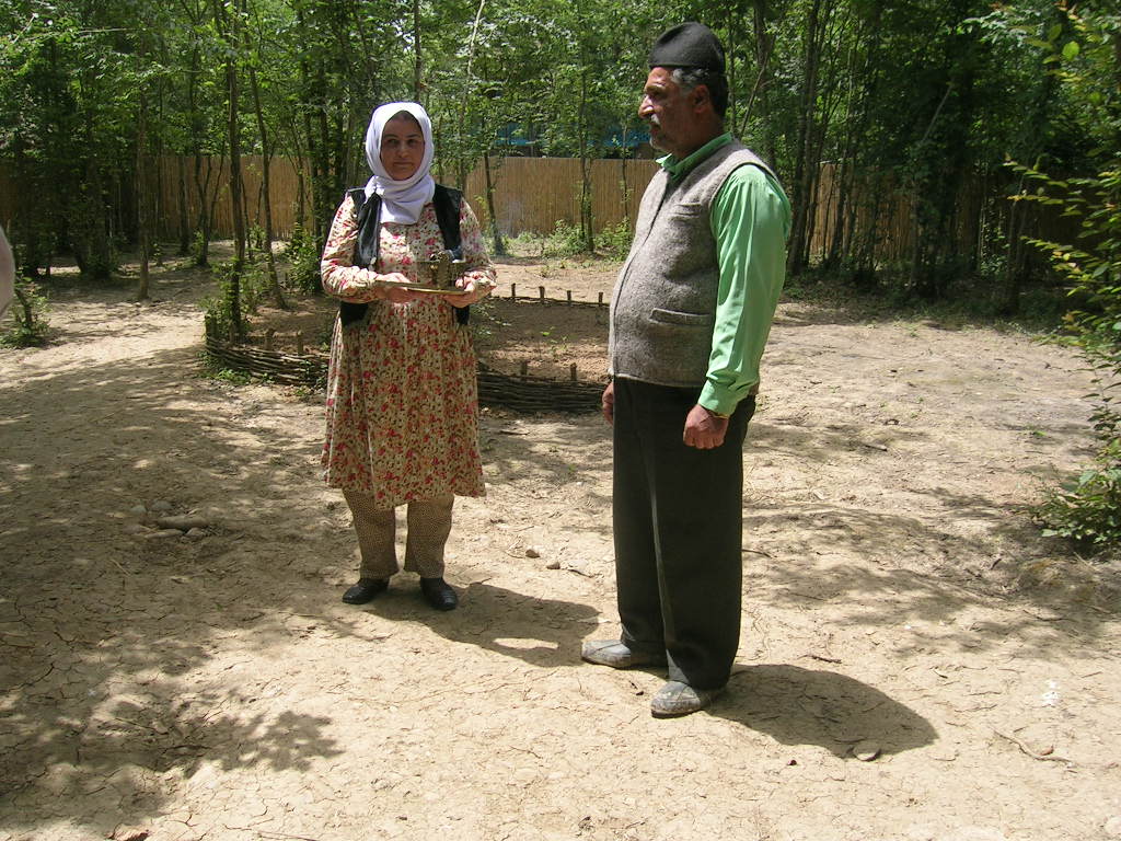 کج چینی (کژچینی) میراث ماندگار کشاورزی گیلان