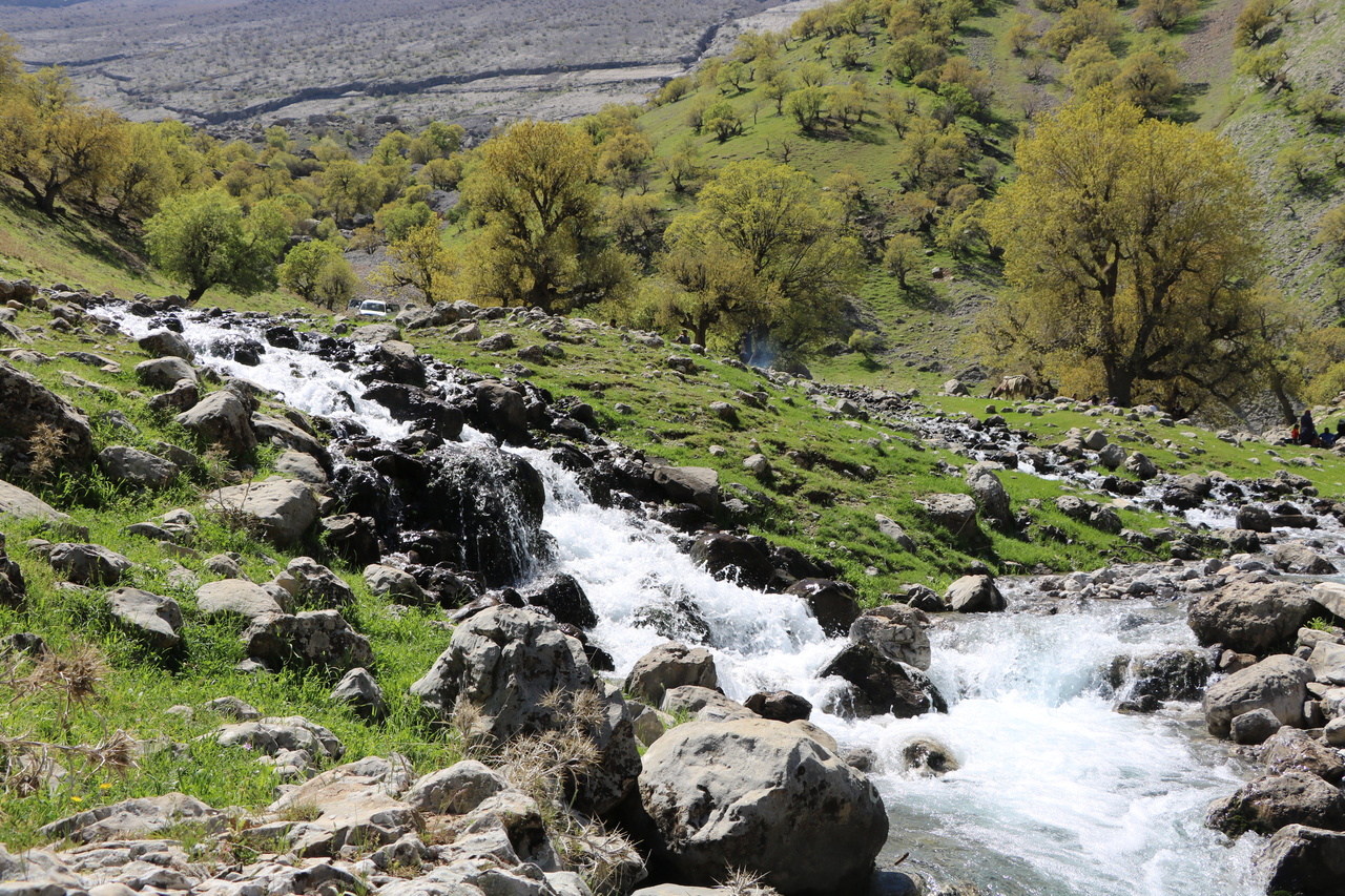 کیه نی دروزنه بدره