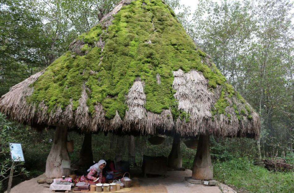 کاربری فضاها در یک خانههای روستایی