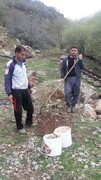 توسعه وضعیت گردشگری در روستای بیشه