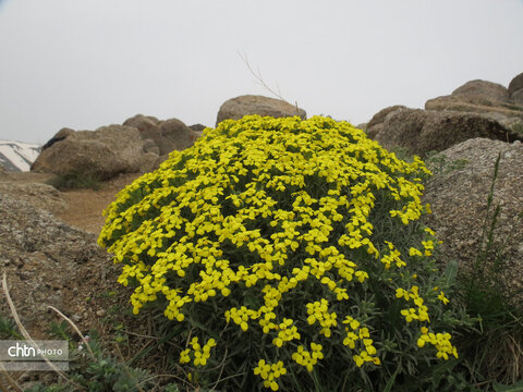 طبیعت خاطره‌انگیز همدان