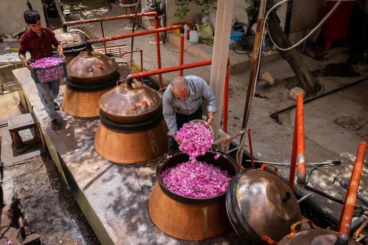 جشنواره «گل محمدی و گلاب» روستای شهابیه خمین در ضمیمه تقویم رویدادهای ملی کشور ثبت شد