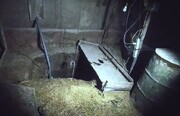 دستگیری ٣ نفر در منزل شخصی پس از حفر گودالی به عمق ۱۵ متر