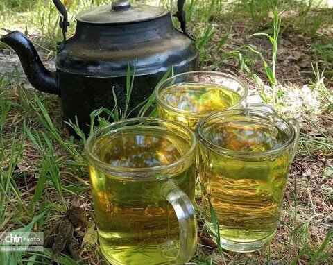 زیبایی‌های بهار در طبیعت (عکاس: سمیرا قربانی)