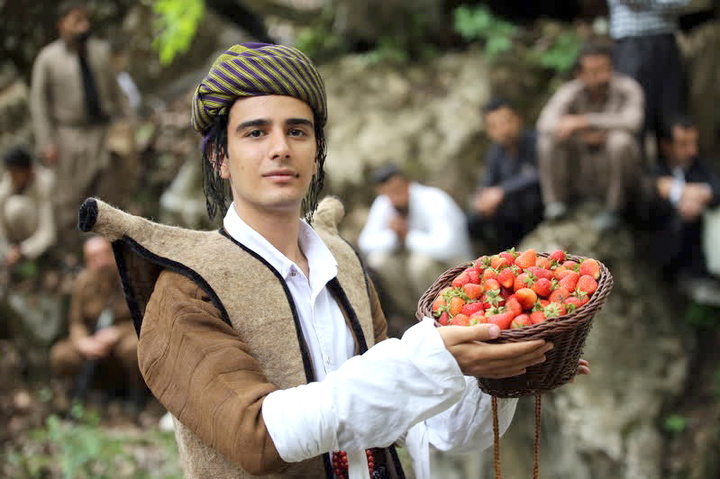 سرخی اردیبهشت پالنگان با روی قرمز توتفرنگی/ کام گردشگران با طعم میوه بهشتی شیرین میشود