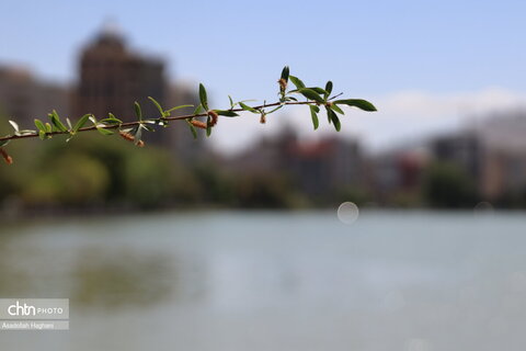دریاچه کیو، نگین آبی قلب خرم آباد