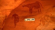 کشف سنگ‌نگاره‌های باستانی در صحرای سوزان
