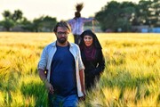 سریال آمرلی برنده هلال طلایی در عراق شد