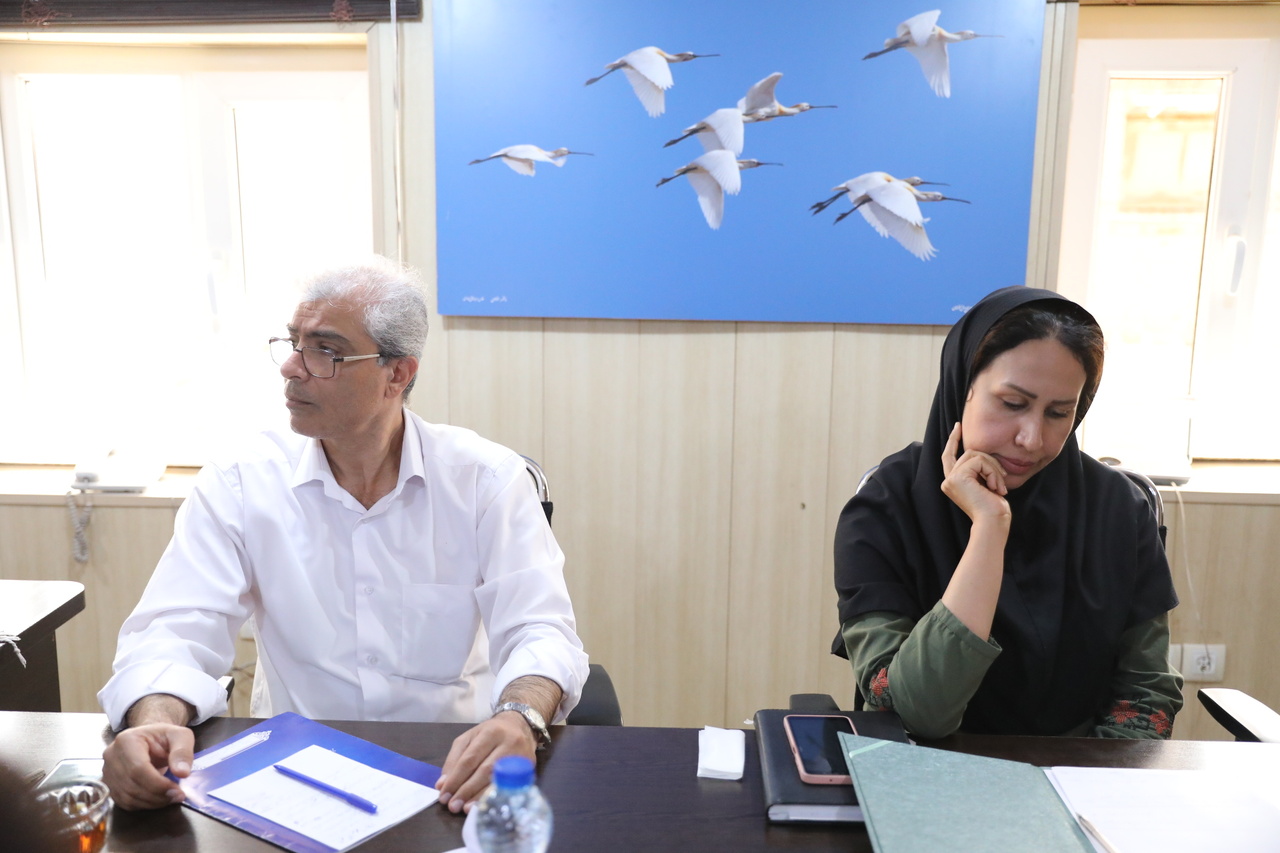 دومین نشست نحوه تشکیل دبیرخانه پرندهنگری کشور برگزار شد