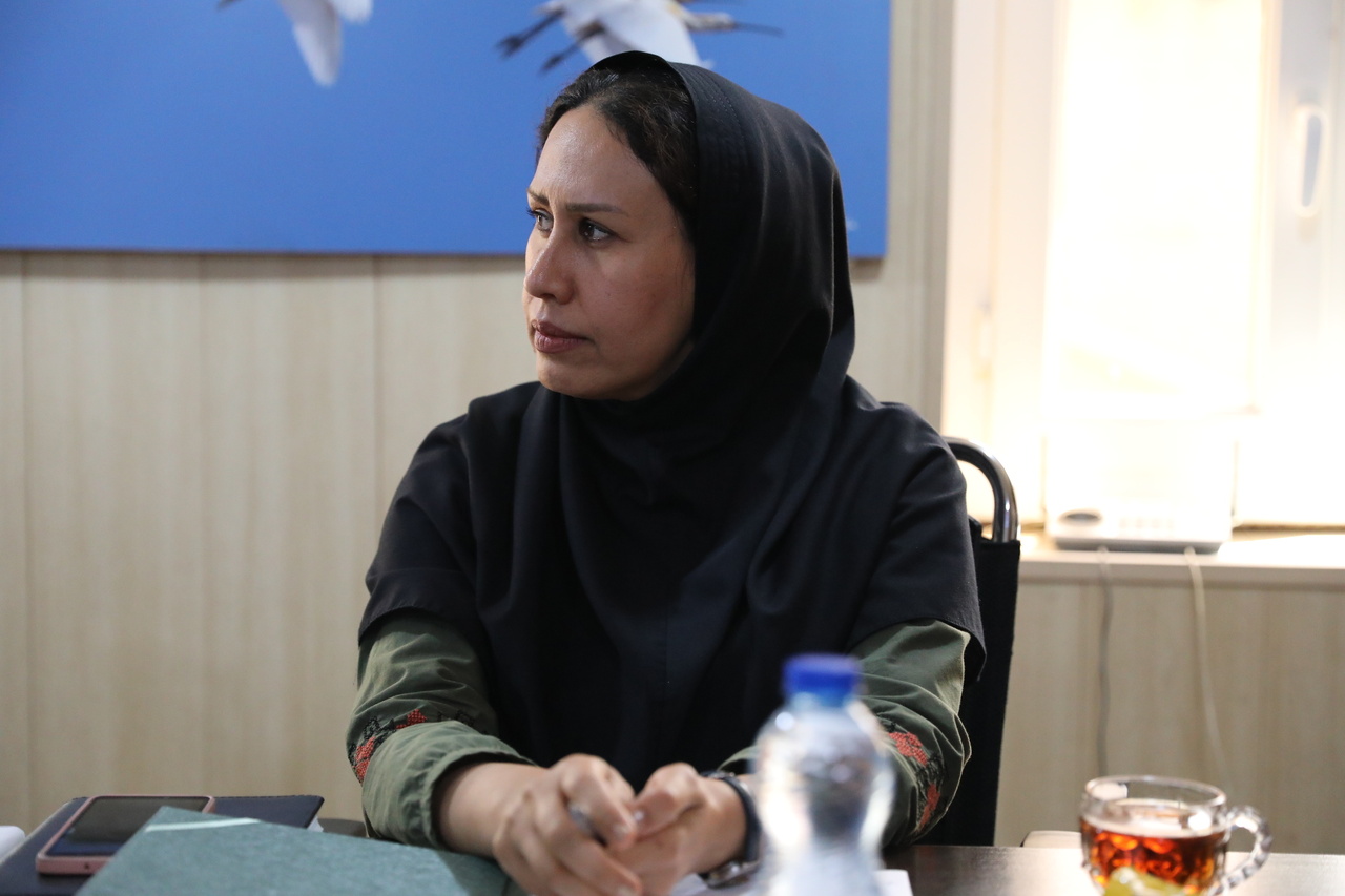 دومین نشست نحوه تشکیل دبیرخانه پرندهنگری کشور برگزار شد