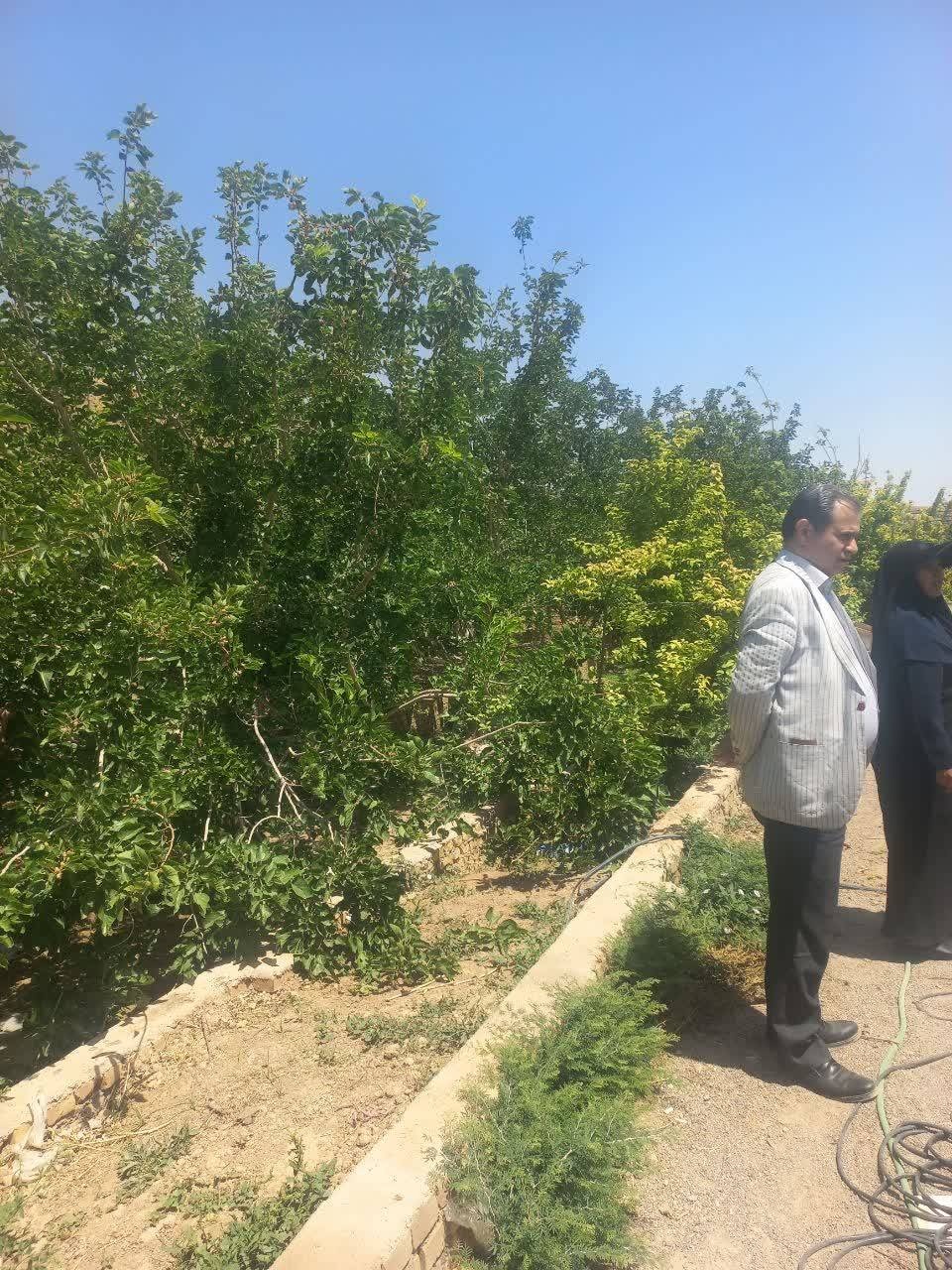 توسعه گردشگری کشاورزی در میبد