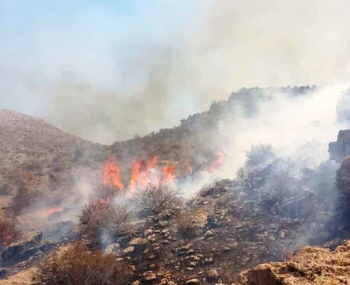 آتش‌سوزی در جنگل‌ها و مراتع شلالدون باشت مهار شد