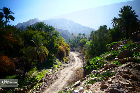 روستای گردشگری گشی در استان بوشهر