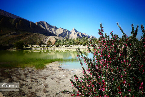 روستای گردشگری گشی در استان بوشهر