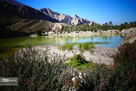 روستای گردشگری گشی در استان بوشهر