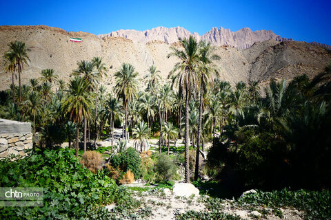 روستای گردشگری گشی در استان بوشهر