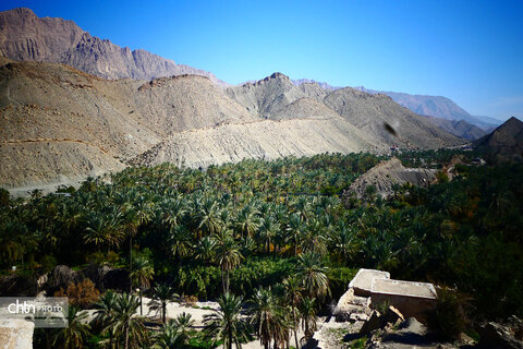 روستای گردشگری گشی در استان بوشهر