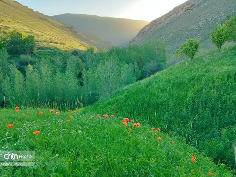 معنای واقعی زندگی روستایی در روستای یاستی‌قلعه ماهنشان