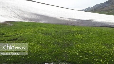 معنای واقعی زندگی روستایی در روستای یاستی‌قلعه ماهنشان